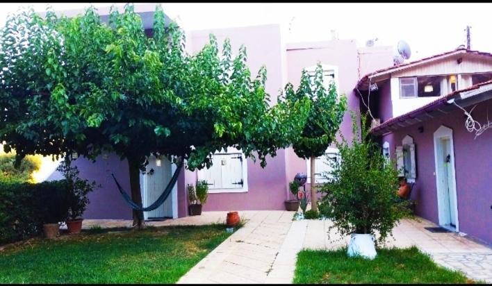 "Villa Kanavos" Apts Matala Exterior foto